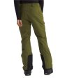 North Face Men s Chakal Insulated Pant Tall 2025 Sale