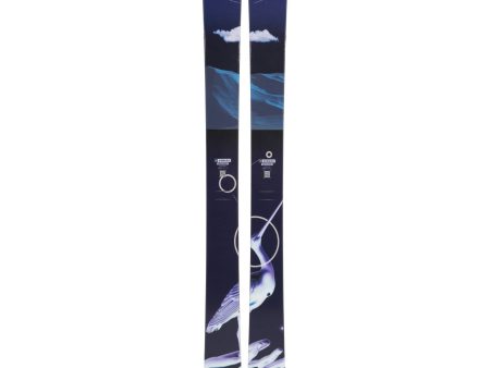 Armada ARV 100 Skis 2025 Online Hot Sale